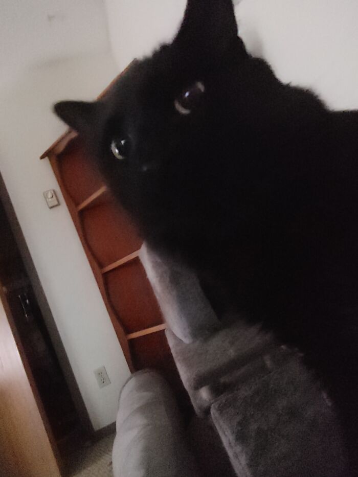 The Void Has Only A Nose And Eyes