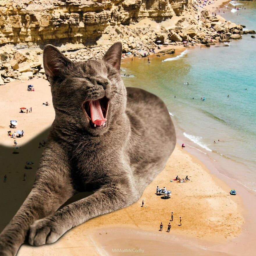 Artist Shows What It Would Be Like If The World Were Inhabited By Giant Cats (92 New Pics)