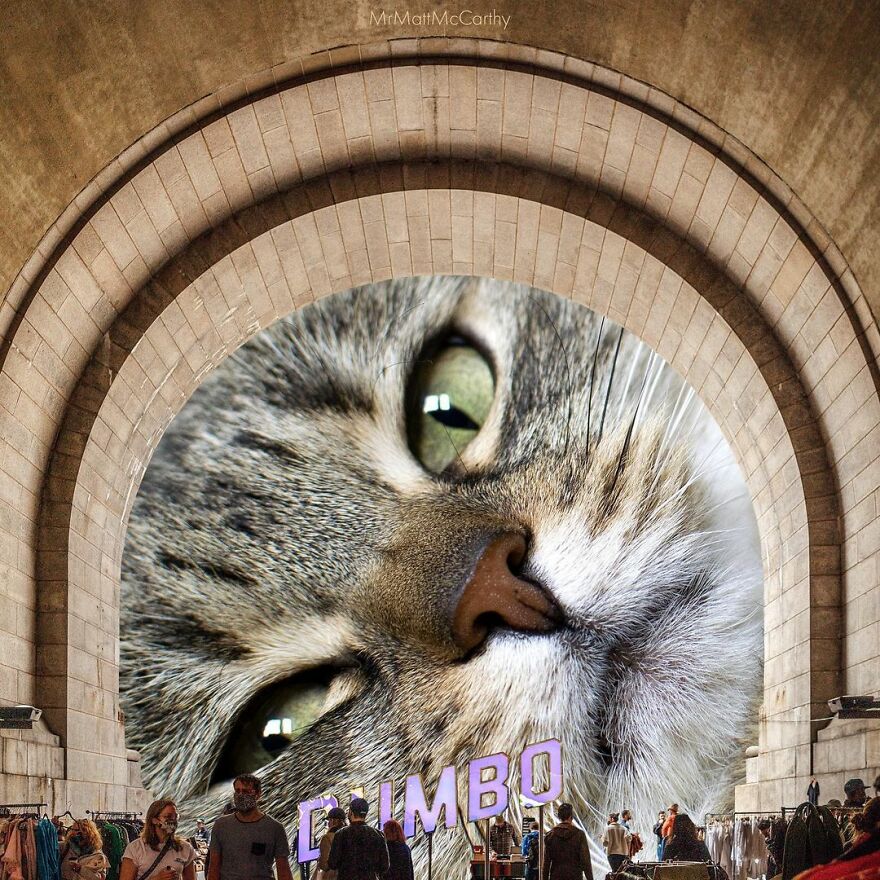 Artist Shows What It Would Be Like If The World Were Inhabited By Giant Cats (92 New Pics)