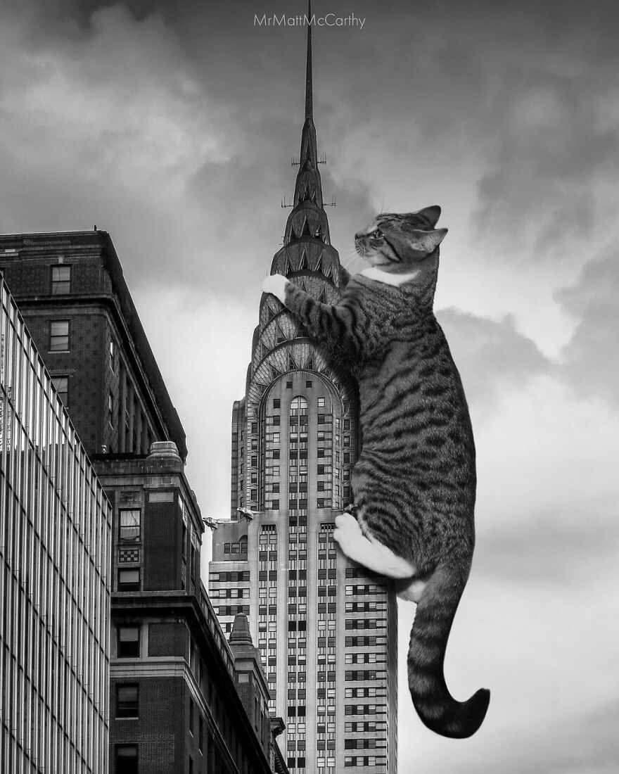 Artist Shows What It Would Be Like If The World Were Inhabited By Giant Cats (92 New Pics)