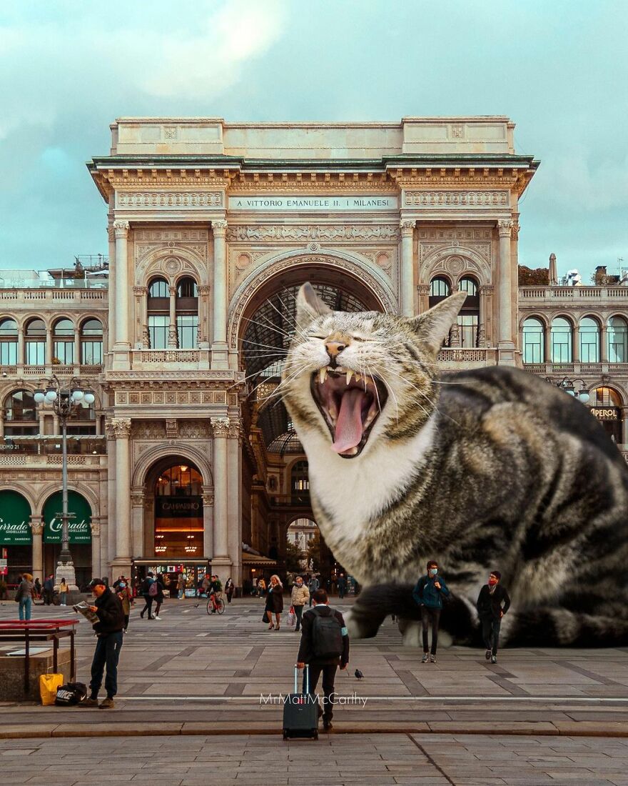 Artist Shows What It Would Be Like If The World Were Inhabited By Giant Cats (92 New Pics)