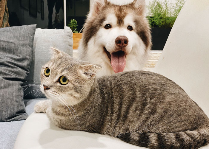 25 Cosas que la gente aprendió vergonzosamente tarde en la vida