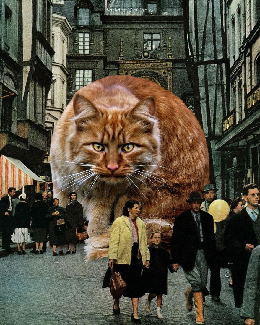 Artist Shows What It Would Be Like If The World Were Inhabited By Giant Cats (92 New Pics)