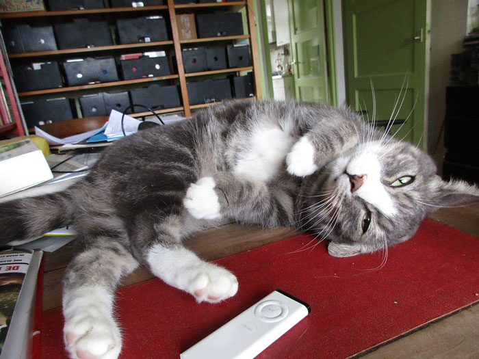 25 Hechos no tan divertidos que la gente de este grupo online no puede olvidar