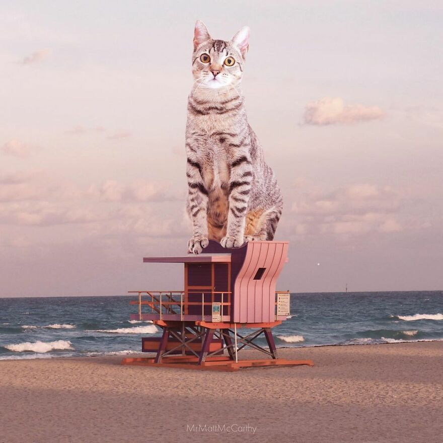 Artist Shows What It Would Be Like If The World Were Inhabited By Giant Cats (92 New Pics)