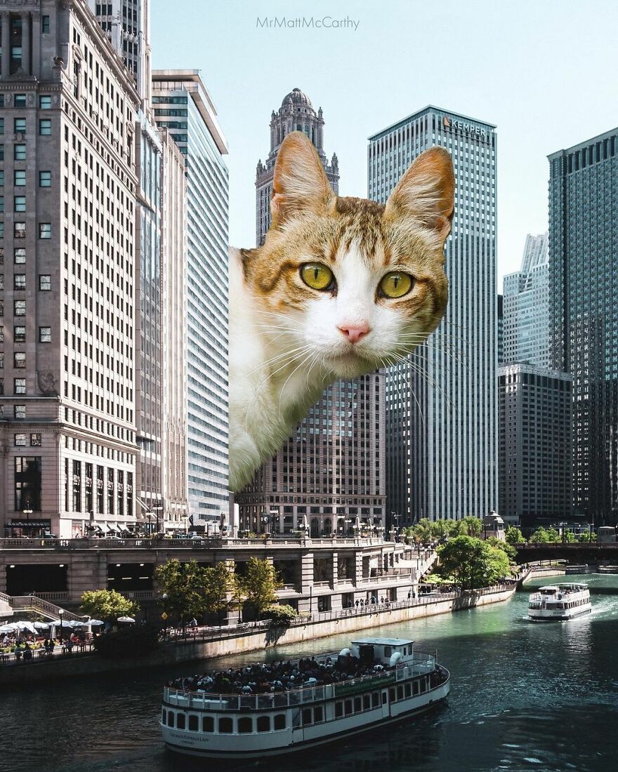Artist Shows What It Would Be Like If The World Were Inhabited By Giant Cats (92 New Pics)