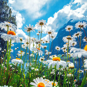 after-glow6_1 avatar