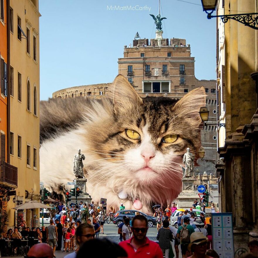 Artist Shows What It Would Be Like If The World Were Inhabited By Giant Cats (92 New Pics)