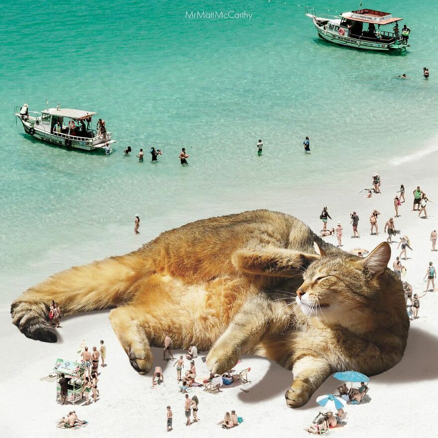 Artist Shows What It Would Be Like If The World Were Inhabited By Giant Cats (92 New Pics)
