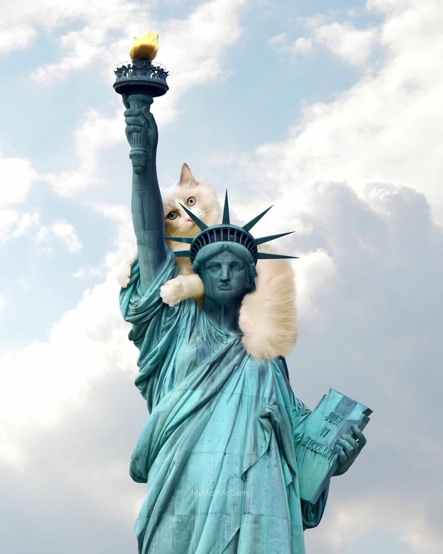 Artist Shows What It Would Be Like If The World Were Inhabited By Giant Cats (92 New Pics)