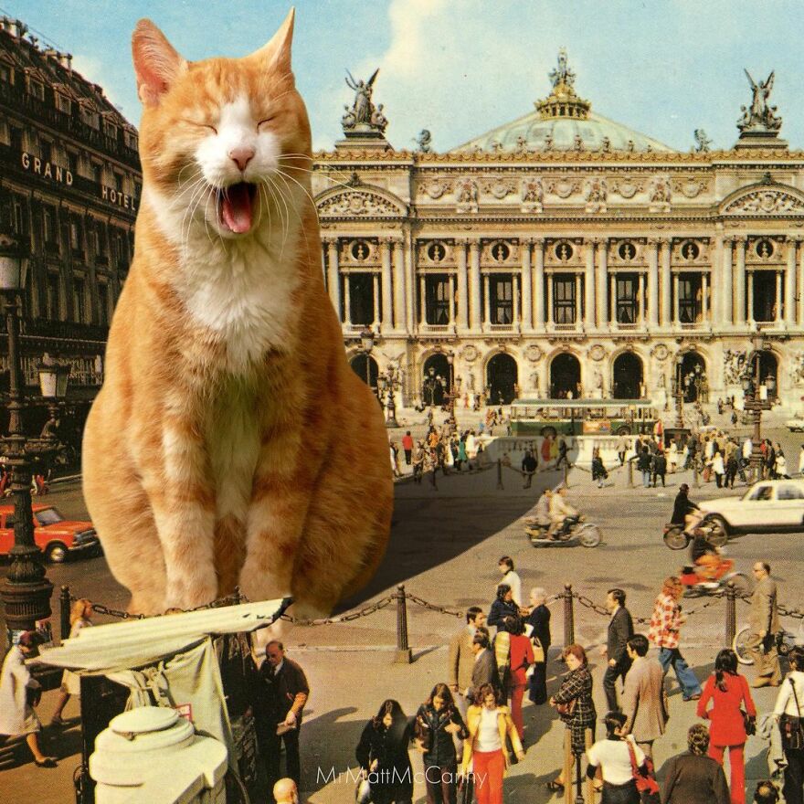 Artist Shows What It Would Be Like If The World Were Inhabited By Giant Cats (92 New Pics)