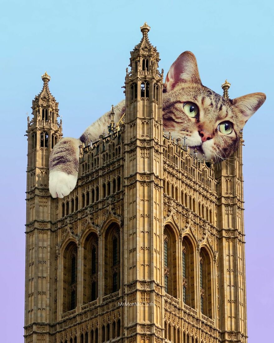 Artist Shows What It Would Be Like If The World Were Inhabited By Giant Cats (92 New Pics)