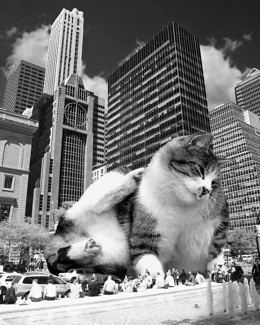 Artist Shows What It Would Be Like If The World Were Inhabited By Giant Cats (92 New Pics)