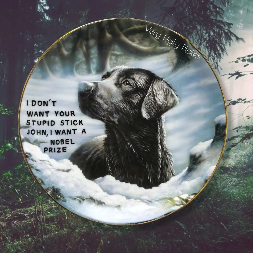 My 50 'Very Ugly Plates' With Dark Humor Captions