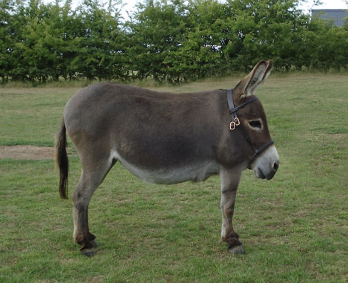 Don’t Ask. I Really Don’t Know.