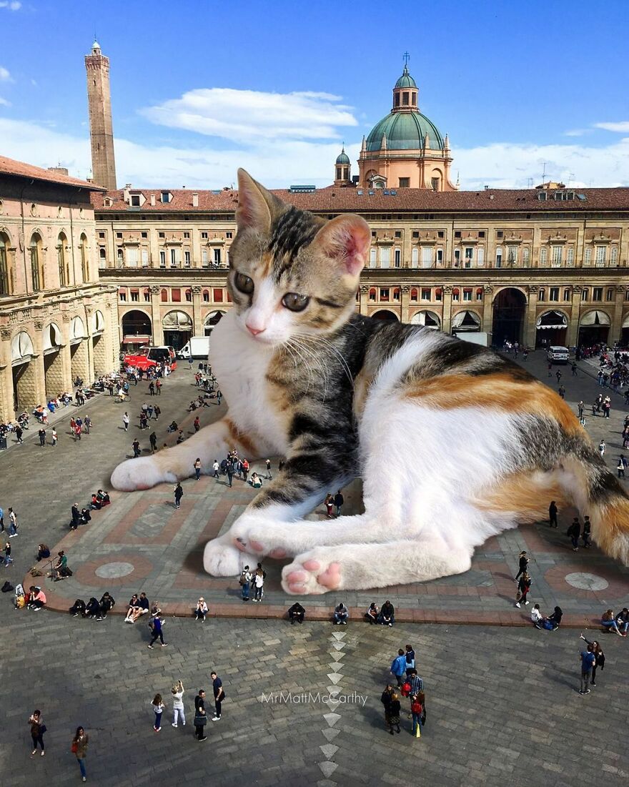 Artist Shows What It Would Be Like If The World Were Inhabited By Giant Cats (92 New Pics)