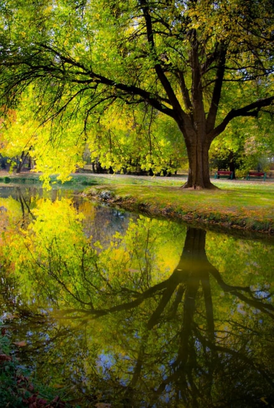 Autumn Begins Today, And Here Are My 12 Photos That Show What Autumn's Like In Macedonia