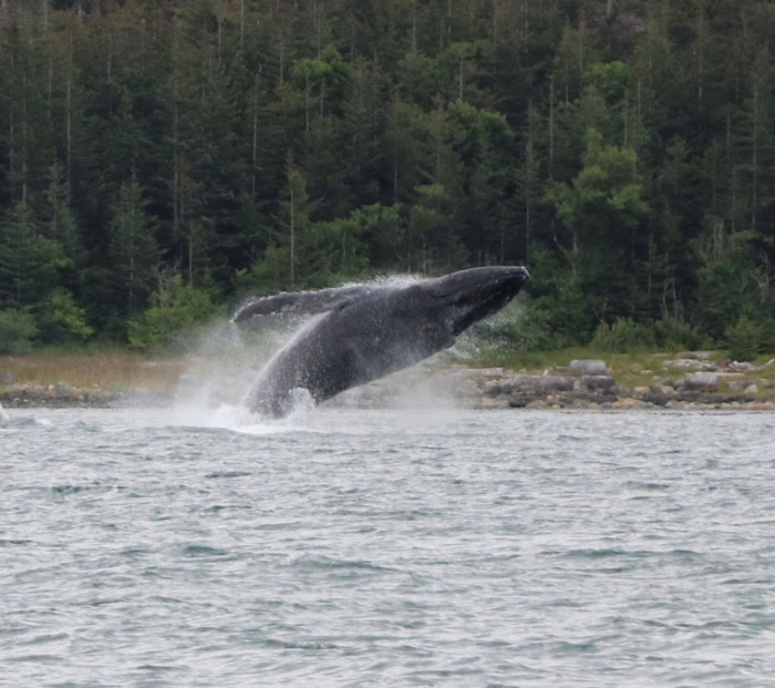 25 Hechos no tan divertidos que la gente de este grupo online no puede olvidar