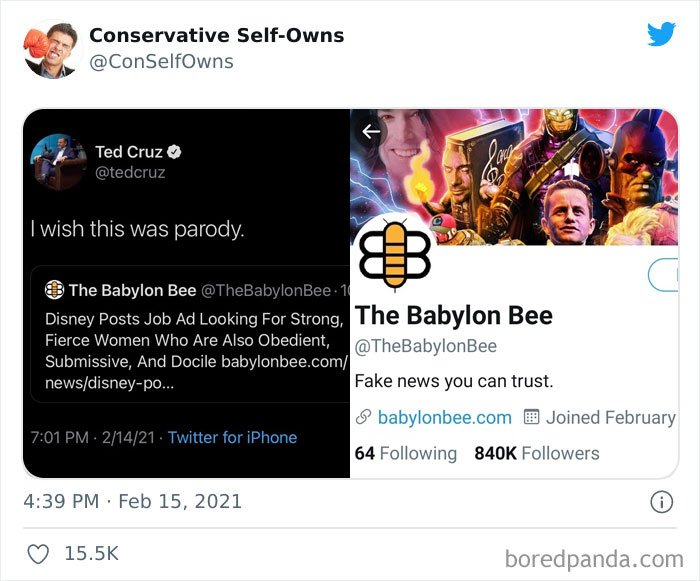 Conservative-Self-Owns-Fails