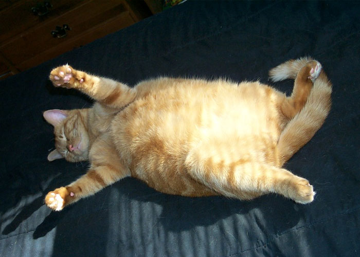 29 Of The Weirdest And Wildest Things Seen By Food Delivery Drivers On The Job