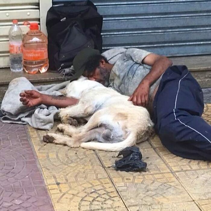 Account On Instagram Shows The Friendship Between Brazilian Homeless People And Their Dogs (183 Pics)