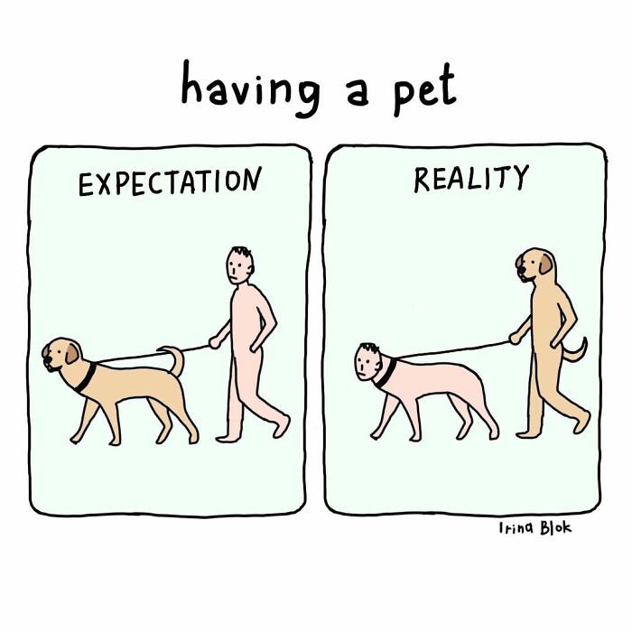 Cartoon illustrating the struggles of being human with pet ownership, contrasting expectations versus reality in everyday life.