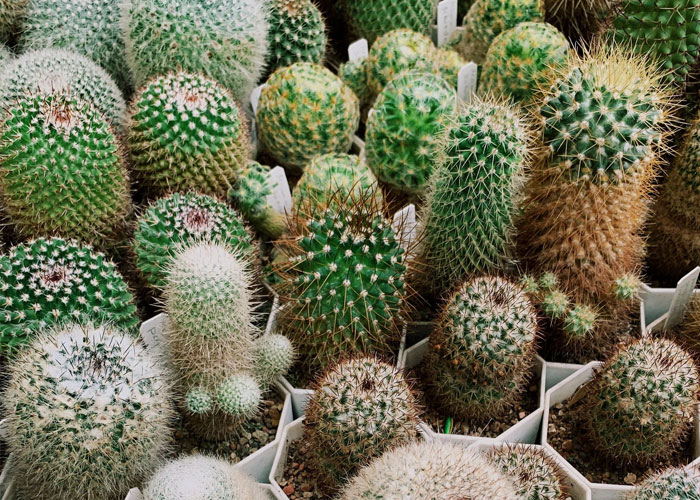 People Are Sharing Things They've Learned Embarrassingly Late In Life, And Here Are The 50 Best Answers