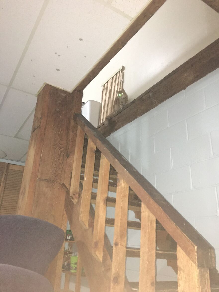 The Orange Demon Along The Stairs