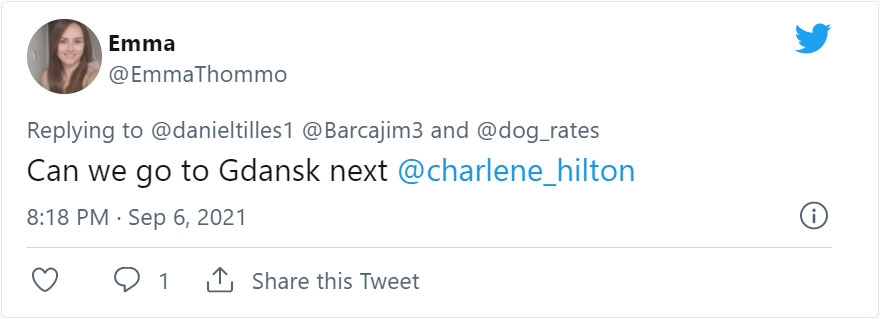 Golden Retriever Hanging Out On Its Balcony Became The Most Popular Tourist Attraction In Gdansk