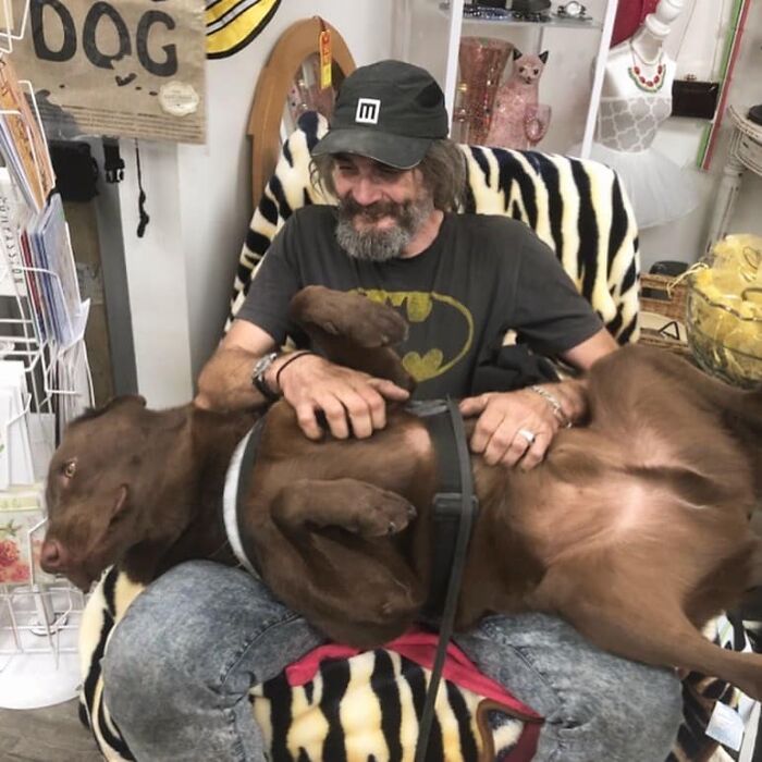 Homeless Man Sheds Tears After Having A Wholesome Reunion With His Missing Labrador
