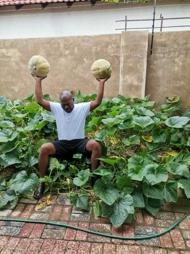 &lsquo;Cabbage Bandit&rsquo; Faces Jail Time For Planting Crops In His Front Yard