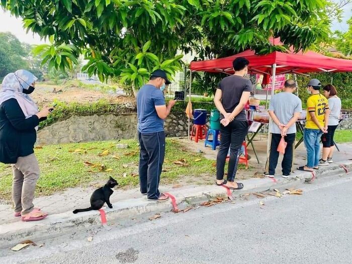 This Facebook Page Is All About Animal Images That Need To Be Seen (50 New Pics)