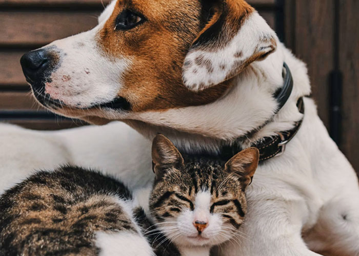 People Are Sharing Things They've Learned Embarrassingly Late In Life, And Here Are The 50 Best Answers