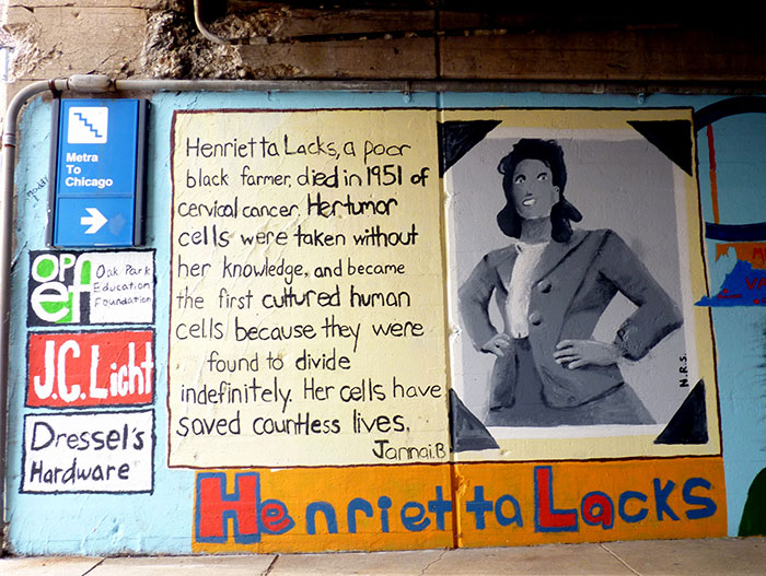 Mural highlighting Henrietta Lacks and important not-so-fun facts shared in an online group discussion.