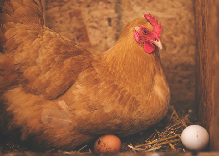 People Are Sharing Things They've Learned Embarrassingly Late In Life, And Here Are The 50 Best Answers