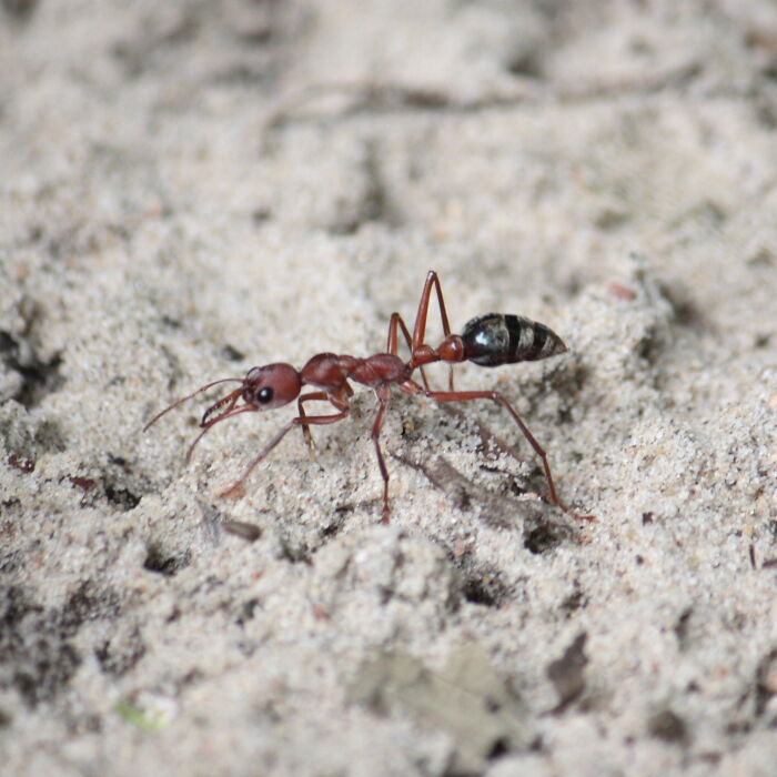 40 Times People Did Something So Dumb For Absolutely No Reason And Shared It In This Thread