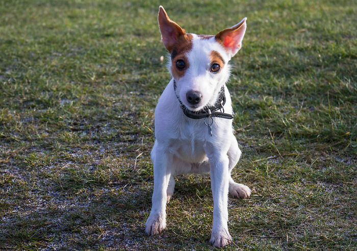 A Person In This Online Group Was Curious To Know What Others Do To Escape Reality, Here Are 30 Of The Best Answers