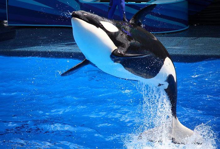 25 Hechos no tan divertidos que la gente de este grupo online no puede olvidar