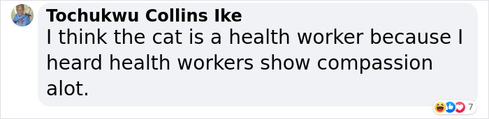 Cat Was Supposed To Catch A Mouse Living In The House, But Made Friends With It Instead