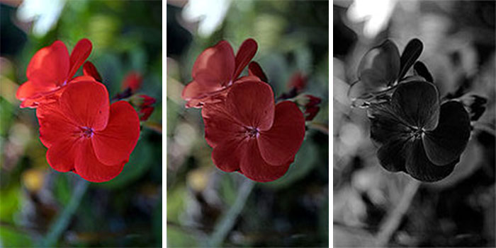 35 'Today I Learned' Facts That Show It's Never Too Late To Learn (New Pics)