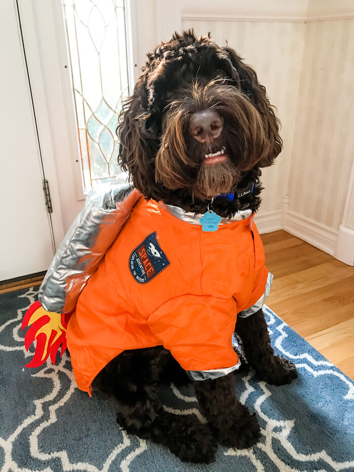 My Milo Man’s Ready To Blast Off 🥰
