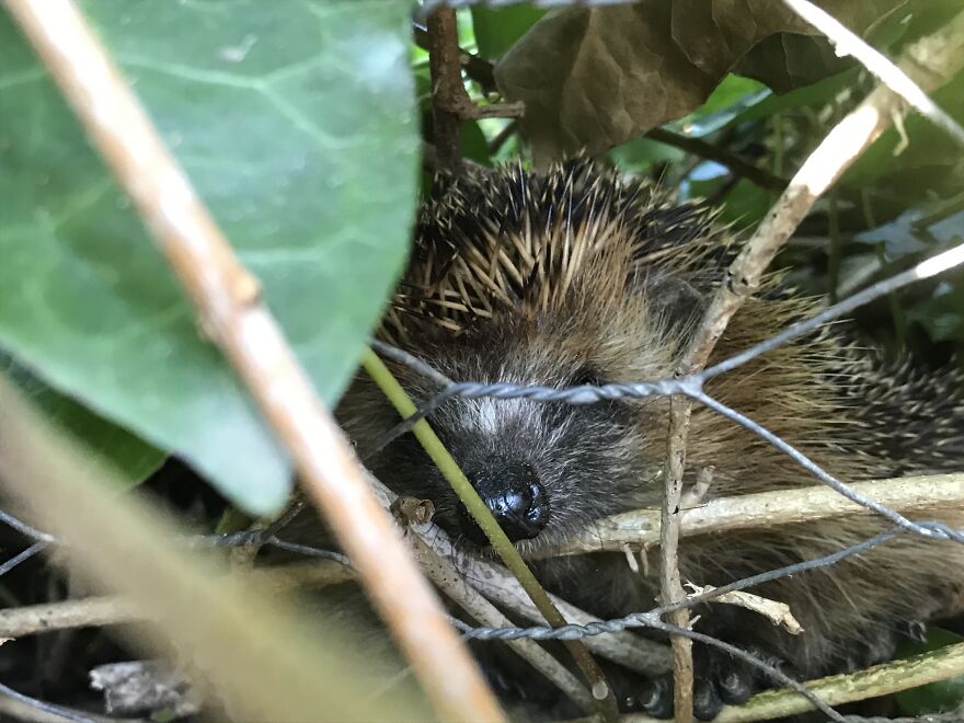 I Dunno But I Really Like This Photo :)