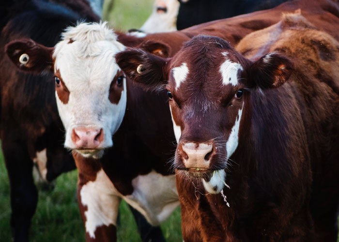 People Are Sharing Things They've Learned Embarrassingly Late In Life, And Here Are The 50 Best Answers