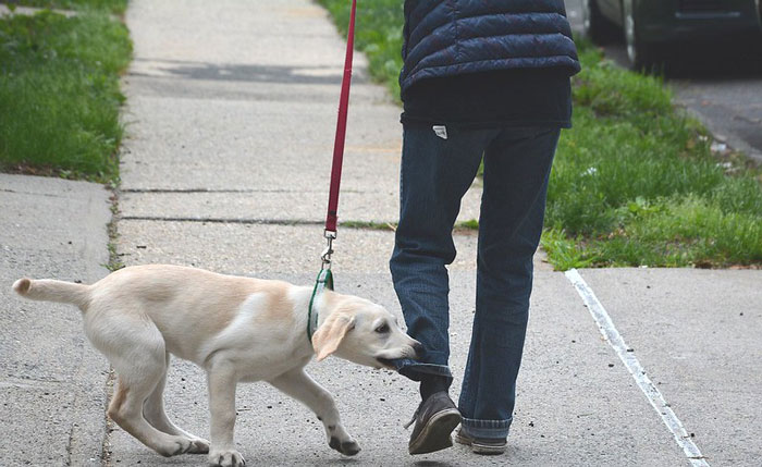 A Person In This Online Group Was Curious To Know What Others Do To Escape Reality, Here Are 30 Of The Best Answers