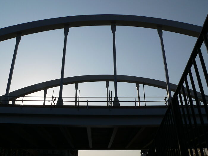 20 Cosas geniales que hicieron los miembros de este grupo online