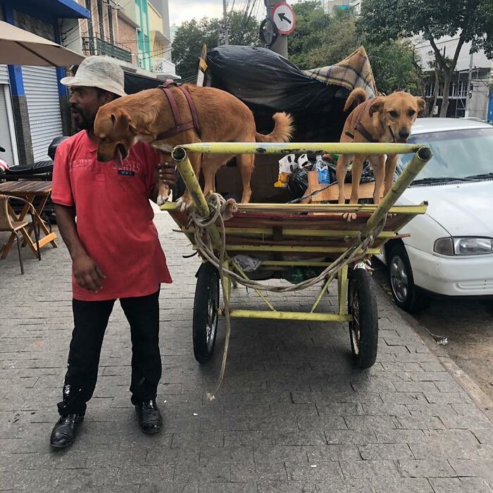 Account On Instagram Shows The Friendship Between Brazilian Homeless People And Their Dogs (183 Pics)