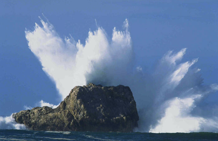 20 Cosas geniales que hicieron los miembros de este grupo online