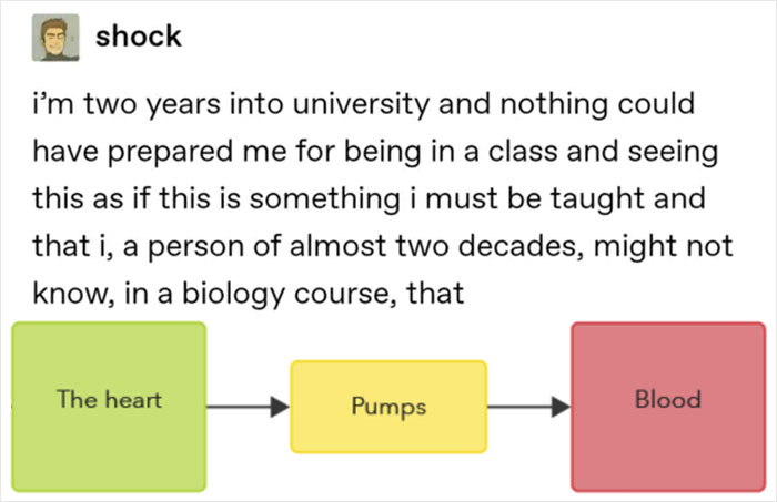 Funny-Posts-Student-Life