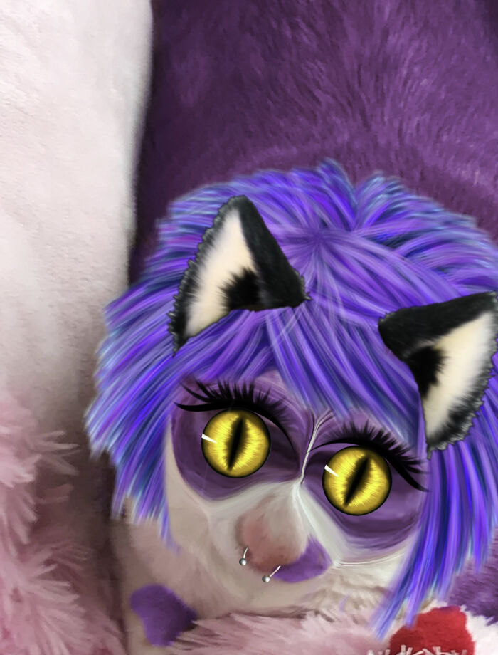 All I Can Say Is “I’m Sorry”…