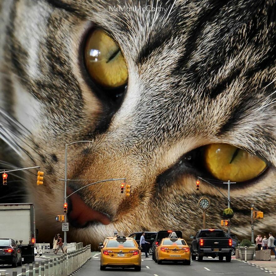 Artist Shows What It Would Be Like If The World Were Inhabited By Giant Cats (92 New Pics)